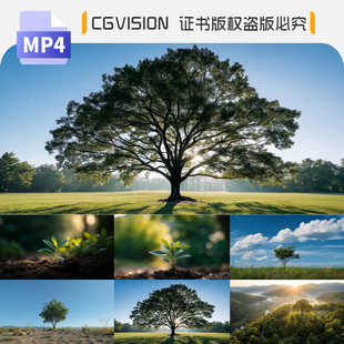 种子发芽破土而出小树苗生长成参天大树绿色希望生命奇迹视频素材