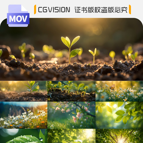 阳光绿叶绿芽生长绿色自然阳光树木春分惊蛰万物复苏春天视频素材