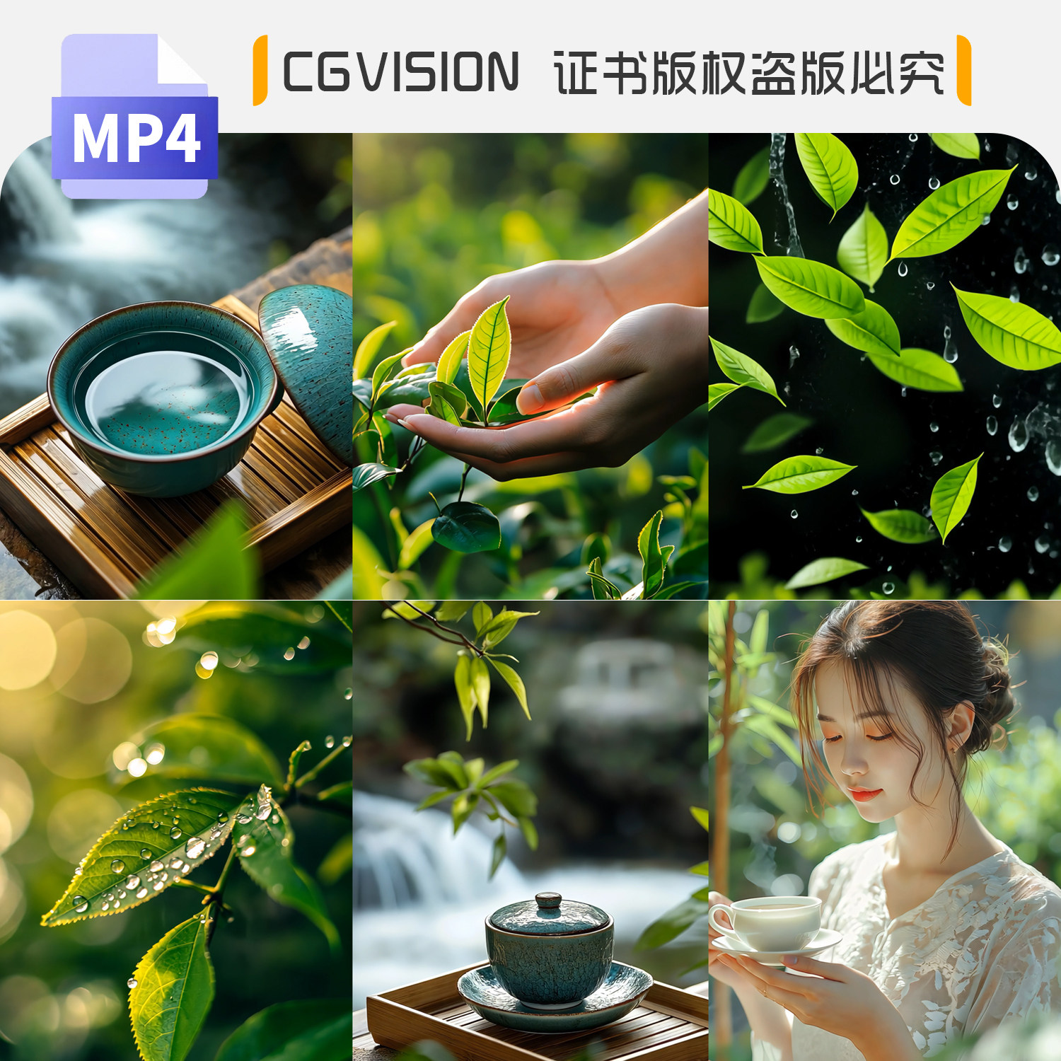 竖屏意境采茶叶茶道茶文化绿茶具自然养生国风禅意背景短视频素材