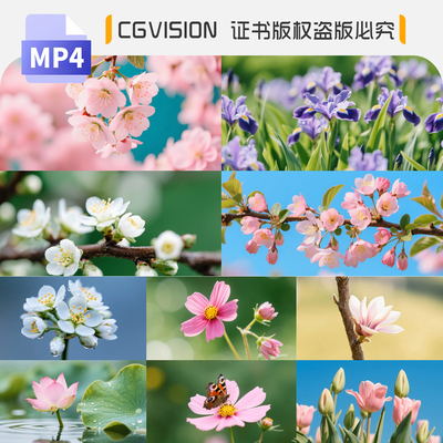 花朵绽放百花盛开花卉花苞花瓣花开唯美特写延时镜头4K短视频素材