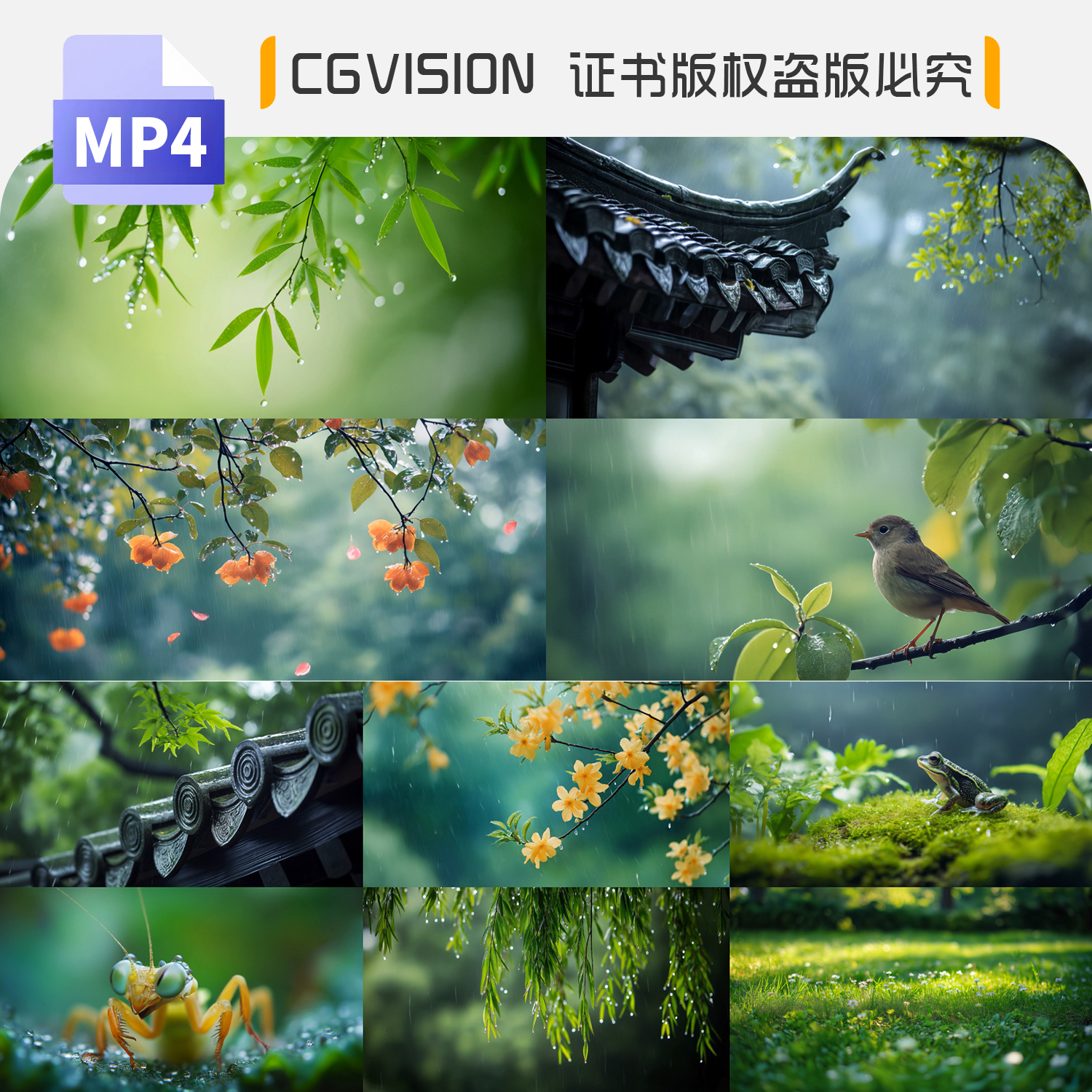 雨水惊蛰谷雨清明节气意境屋檐雨滴立春天大自然万物生长视频素材