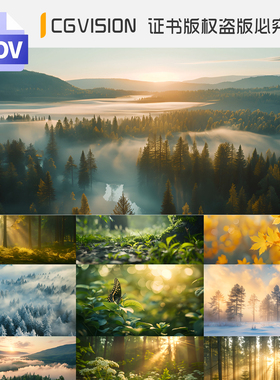 4K视频自然风光清晨阳光森林云雾绿色生态户外风景树意境光影素材