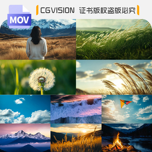 春风微风大风秋风芦苇山脉森林意境云雾篝火大自然风景短视频素材