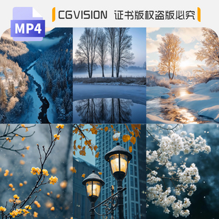 竖屏竖版唯美意境雪景立冬小雪大雪冬至小寒大寒下雪雪花视频素材