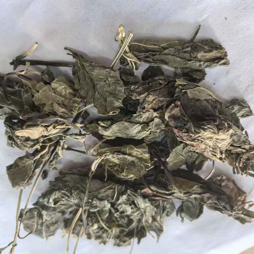 吉林500g克包邮人参叶