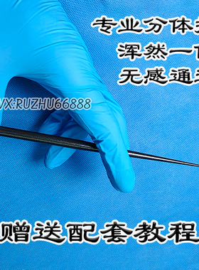 【入珠师bi备】男士手工diy入珠专用分体管可半圈一圈珠子尺寸齐