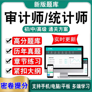 2026高级审计师初级中级统计师考试题库历年真题模拟试卷课件习题