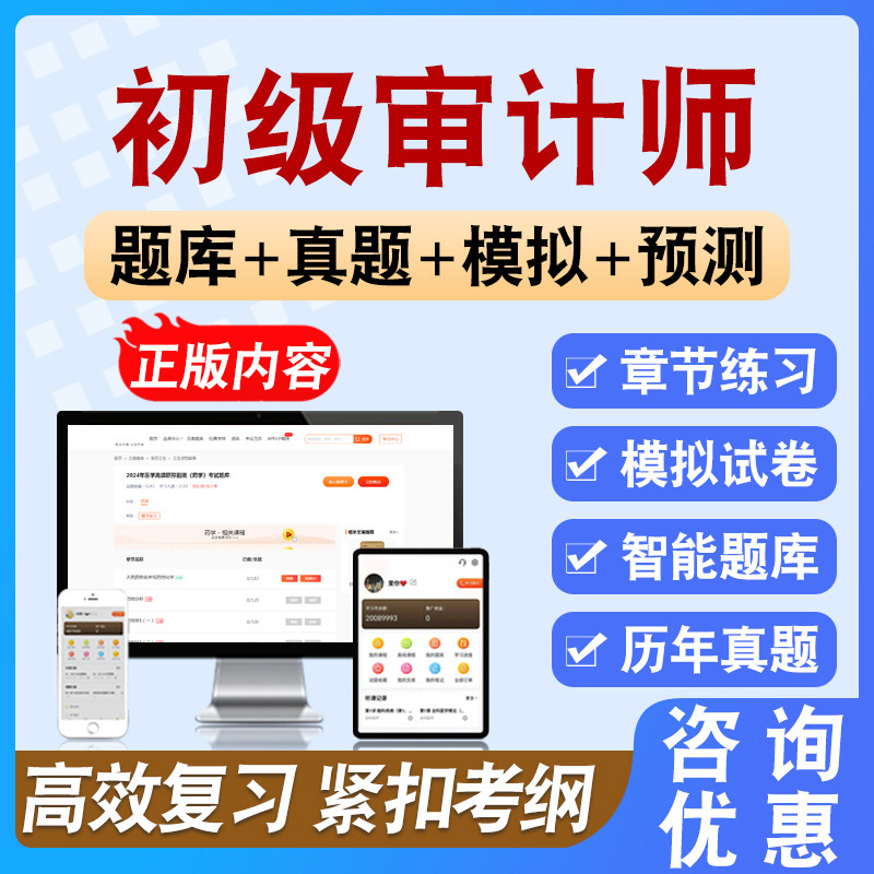 2026年初级审计师考试备考学习资料模拟练习试题库非教材书课程