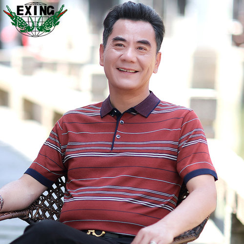 EXING中老年男士时尚休闲针织条纹POLO衫R109