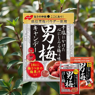 日本直邮诺贝尔nobel男梅梅片硬糖蜂蜜男梅大森屋梅片梅子糖软糖