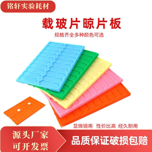 塑料晾片板载玻片存放板操作板病理玻片板20片多种颜色可选