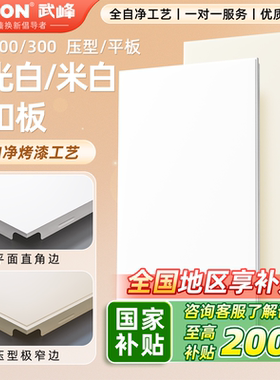 武峰吊顶集成吊顶铝扣板吊顶300x600厨房卫生间吊顶天花板自装