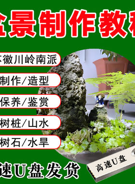 盆景制作教程U盘盆景造景摆件技巧岭南徽苏派微型景观技术视频课