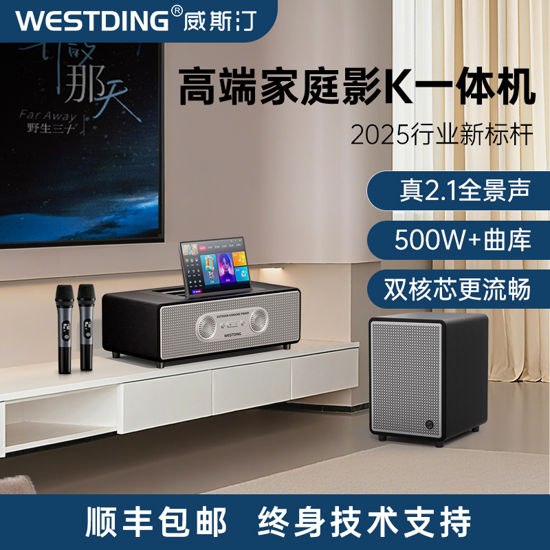 威斯汀P30家庭ktv音响套装家用卡拉OK客厅唱歌设备2025新款点歌机