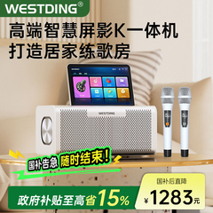 家庭ktv音响套装点歌一体机全套唱歌机家用卡拉ok音箱客厅影院K歌