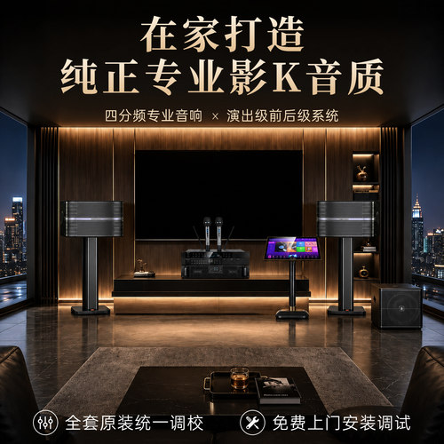 【专业级音效】高端家庭KTV音响