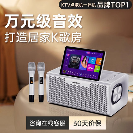 家庭ktv麦克风话筒音响一体唱歌机家用客厅K歌神器点歌音箱连电视