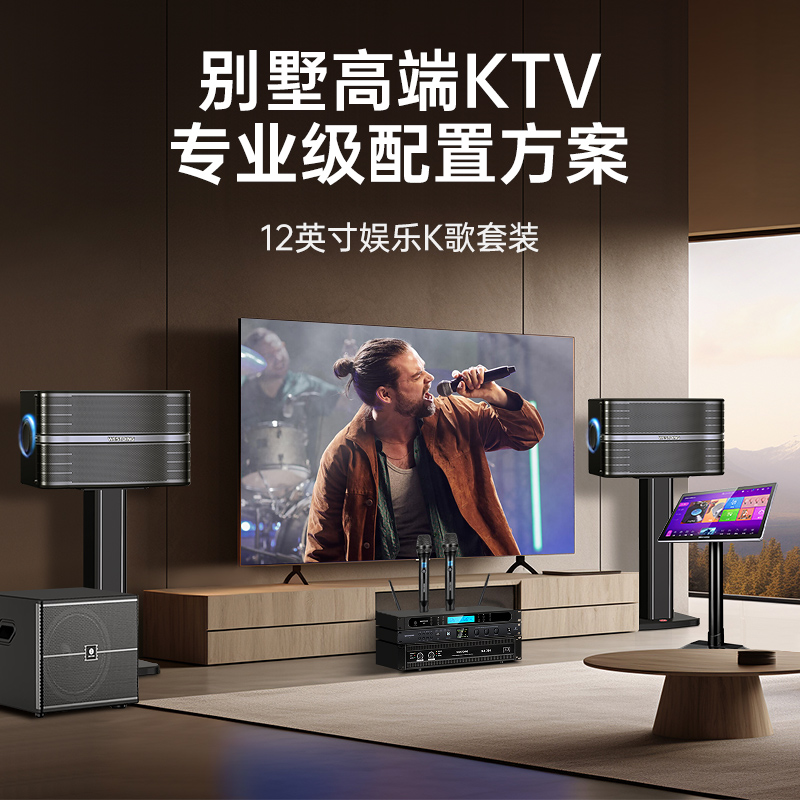 高端别墅专业级卡拉OK音响套装