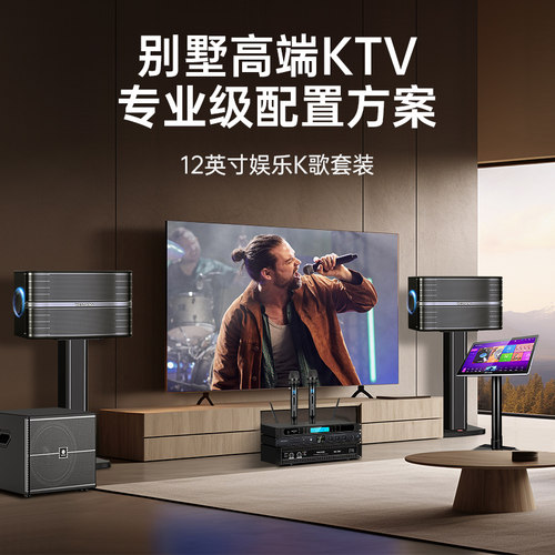 高端别墅专业卡拉OK音响系统