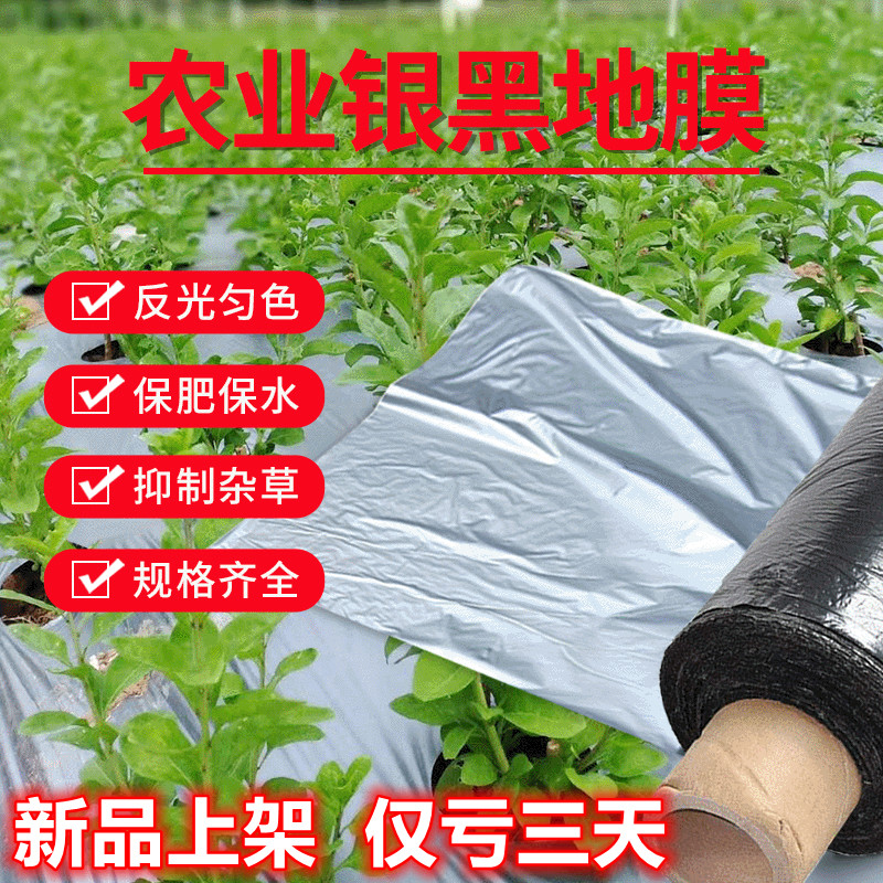 农用反光双色银黑地膜加厚防虫除草果树园保湿塑料薄膜胶纸白黑膜