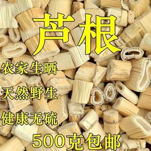 芦根中药材芦根芦苇根芦茅根苇根野生芦柴根新鲜500克包邮