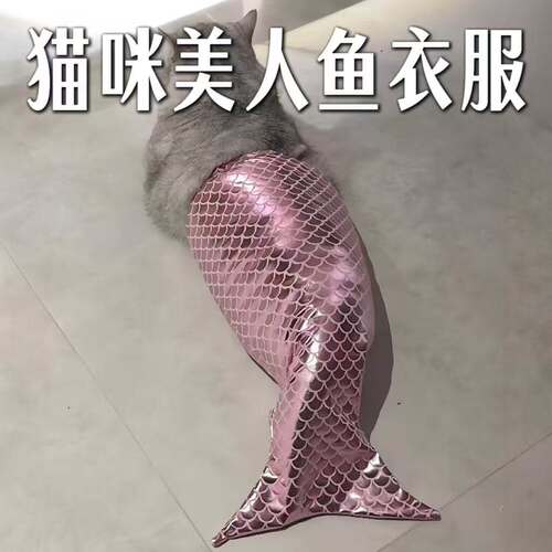 猫咪美人鱼衣服可爱布偶