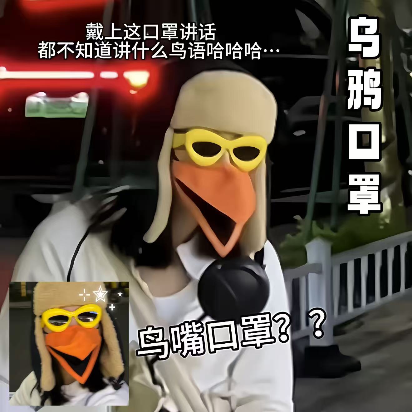 乌鸦口罩搞怪彷真立体鸟