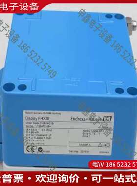 请询价：恩德斯豪斯E+H远程显示仪表FHX40-G1B FH