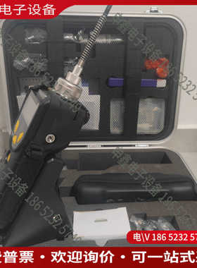议价：美国华瑞RAE ppbRAE 3000  PGM-734
