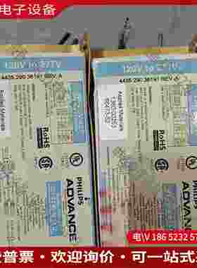 拍前询价：Advance IZT-2T42-M3-LD 电子镇