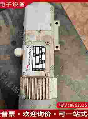 拍前询价：MINIMOTOR PAE260M2T 速比12368 功