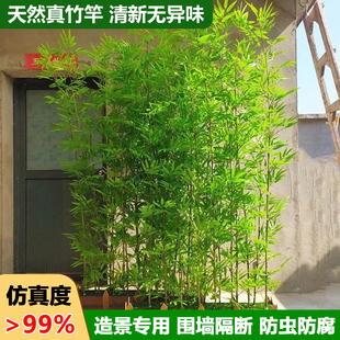 高级仿真竹子造景围栏底座盆栽摆件禅意塑料环创仿真绿植高端轻奢