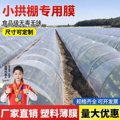 小拱棚专用膜农用透明塑料膜保温