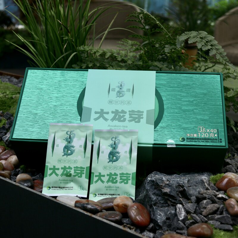 26年新茶大龙芽精品礼盒120g明前头采龙井工艺口感鲜爽炒豆香明显