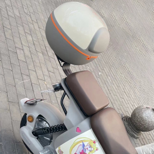 台铃电动车后备箱尾箱