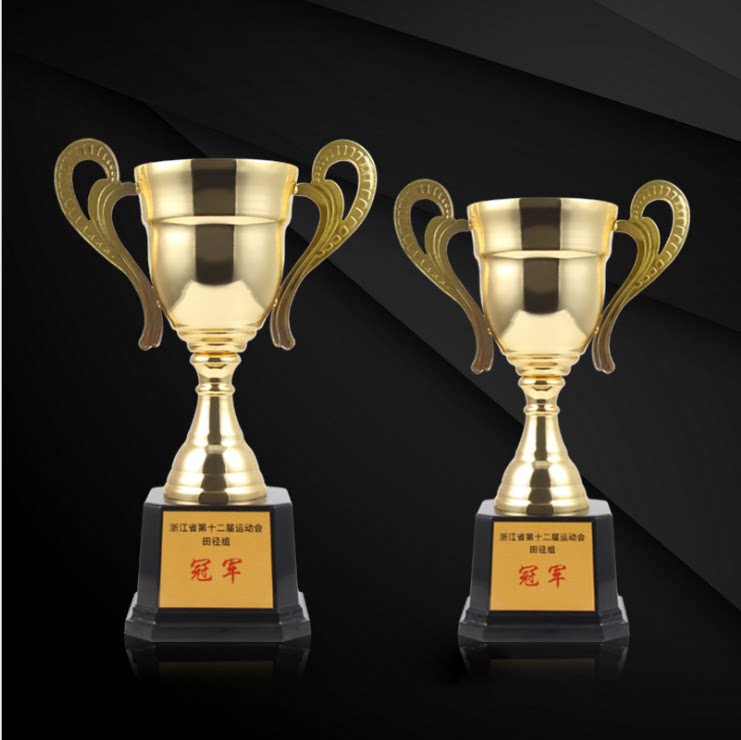 奖杯定制金属运动会篮球足球比赛信鸽冠军跆拳道纹绣创意奖杯定做