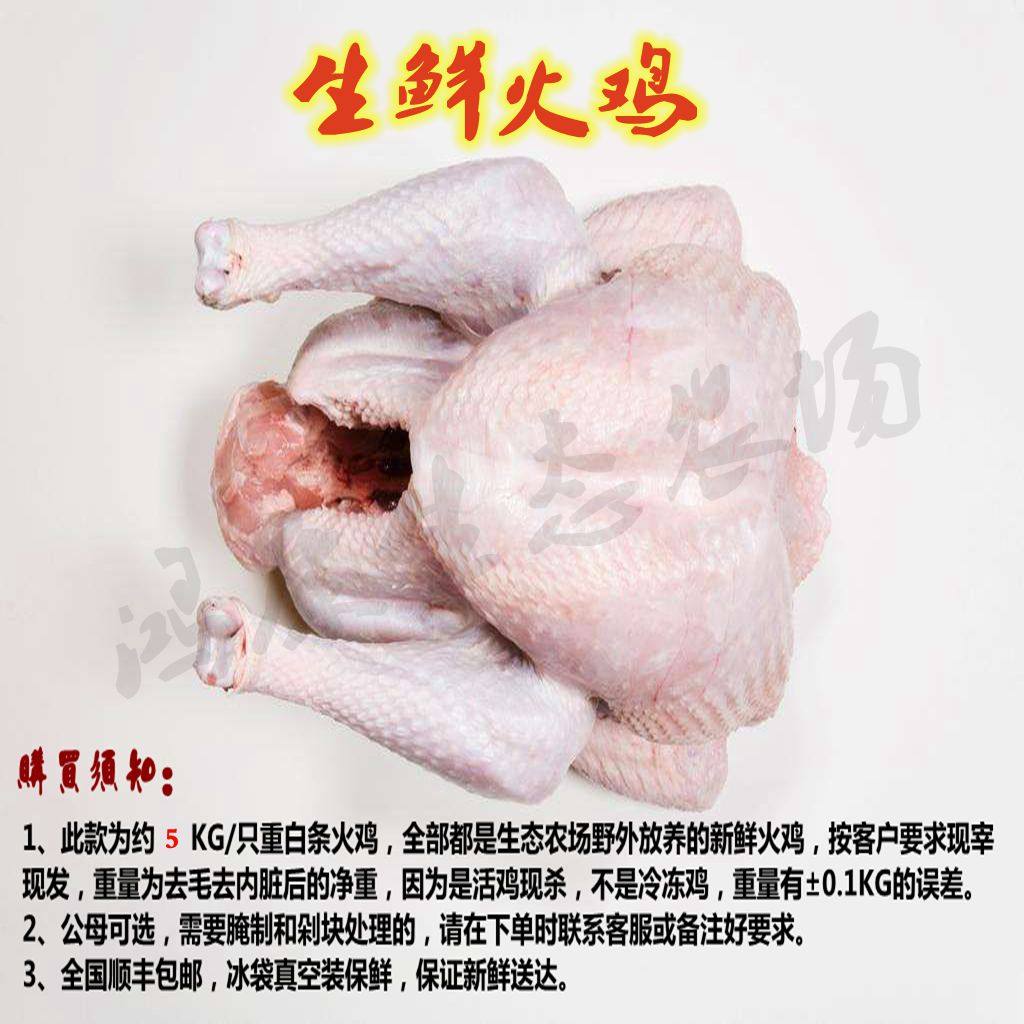 感恩节火鸡 圣诞节火鸡 火鸡整只 火鸡肉新鲜整只 生鲜火鸡包邮