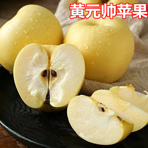 黄元帅苹果树苗南北方庭院地栽
