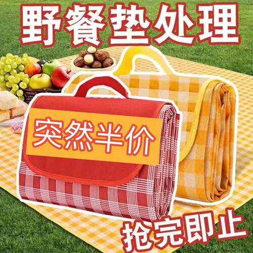 野餐垫户外防潮垫便携春游地垫