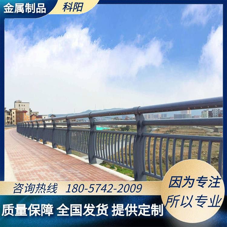 河道桥梁护栏天桥防护景观围栏不锈钢扶手护栏不锈钢金属护栏厂家