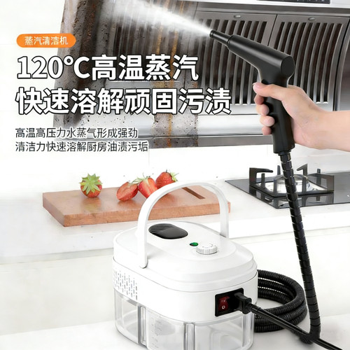 跨境110-220V高温蒸汽清洁清洗机