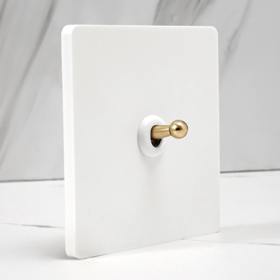 塑料面板磨砂白黄铜拨杆开关