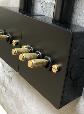 PIALT工业风拨杆开关黑色不锈钢面板暗装复古明装线管明线单开