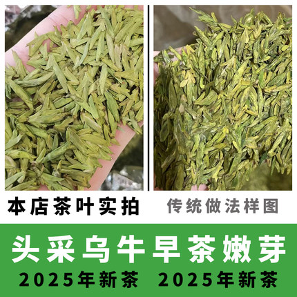 2026年乌牛早茶头采明前茶温州永嘉特产乌牛早茶春茶食用农产品