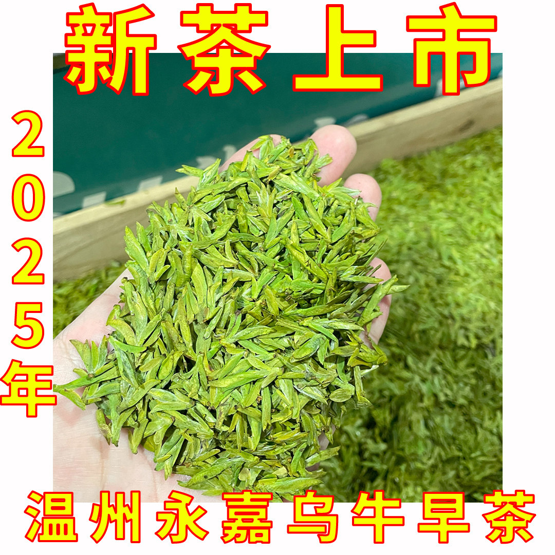 2026年乌牛早茶明前温州本地永嘉特产乌牛早茶茶叶春茶食用农产品