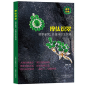 翡翠珠宝佩戴鉴赏识别全新赌石图鉴正版 正版 书籍 摩太识翠 翡翠珠宝鉴赏识别赌石图鉴书籍 摩㑀识翠