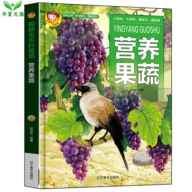 精装硬皮绘本 营养果蔬 植物百科全书 3-6-8岁儿童植物大百科幼儿童科普绘本故事书蔬菜水果幼儿认知小百科 正版现货