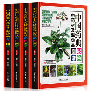 正版 中国药典中药材及混伪品彩色图谱全套4册彩图版草药药材饮片鉴别彩色图谱 图解本草纲目彩图植物图鉴中医学书籍