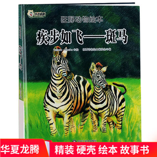 精装硬皮绘本 斑马绘本 狂野动物绘本疾步如飞：斑马绘本故事书 幼儿园硬壳封面动物百科绘本故事书 3-6-8岁儿童读物正版现货