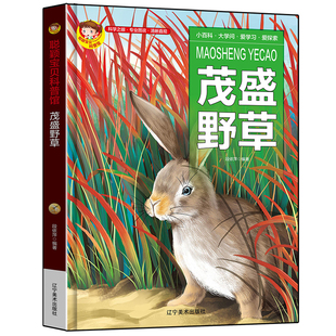 精装硬皮 茂盛野草 植物百科全书 幼儿童科普书启蒙茂盛的野草绘本故事书幼儿认知小百科儿童生活科普百科全书 正版现货